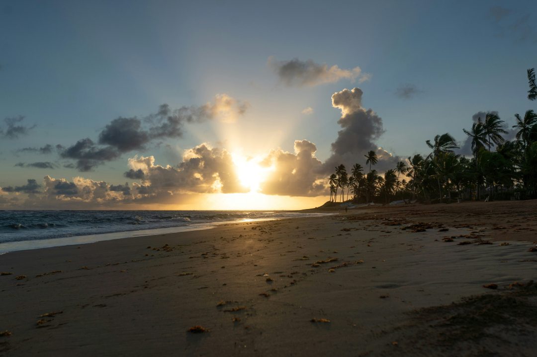 Sunset on the beach with palm trees